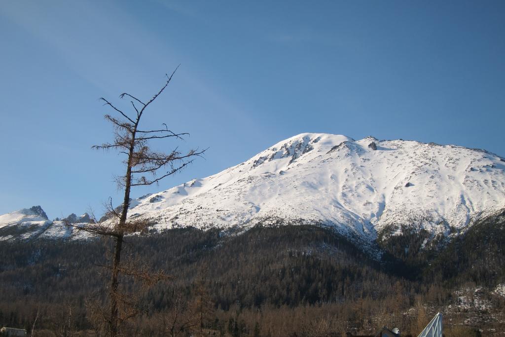 Ferienwohnung Apartman Novy Smokovec 75 Vysoké Tatry Zimmer foto